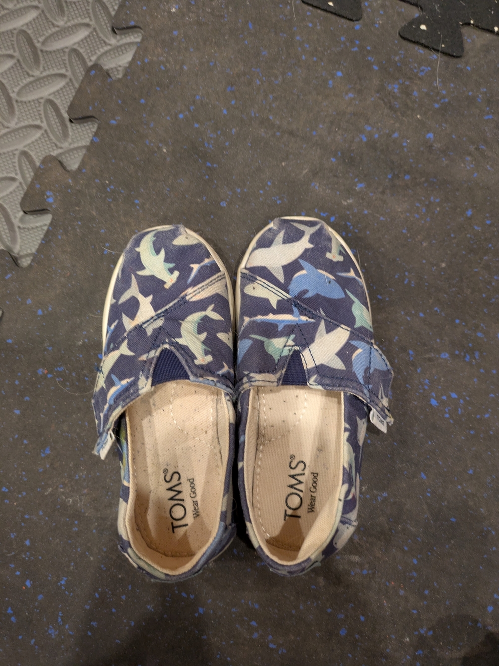 TOMS Kids Slip-On Shoes in Navy Shark Print